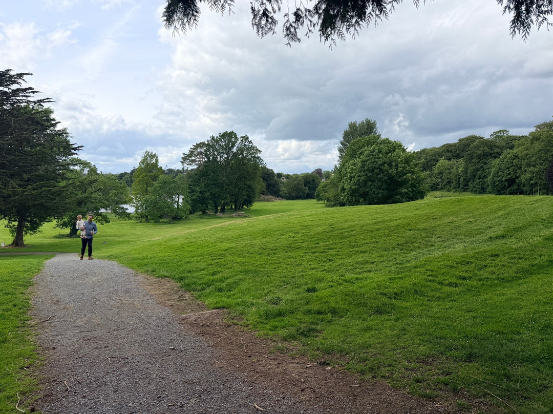 Nuremore Estate by McGettigan's主图
