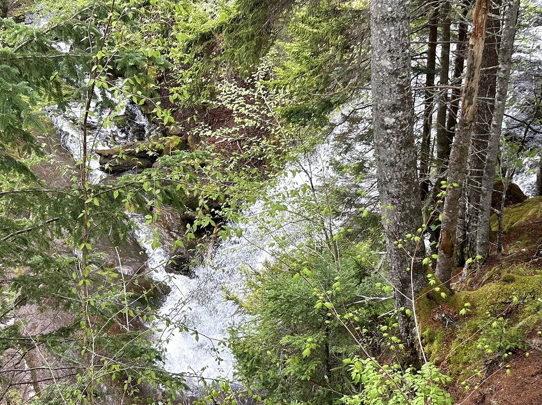 Fundy National Park-阿尔马必去景点