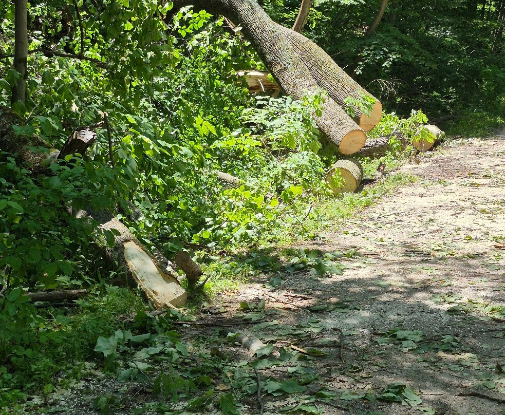 Ohiopyle State Park-Ohiopyle必去景点