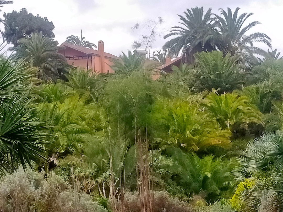 Jardín Botánico Viera y Clavijo-大加那利岛拉斯帕尔马斯必去景点
