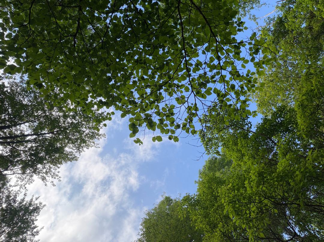 Quiet Oaks Campground