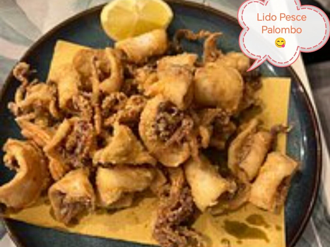 Lido Pesce Palombo