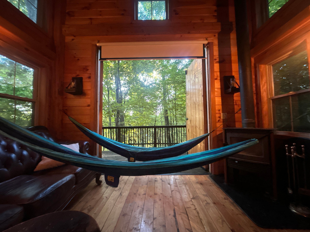 EarthJoy TreeHouse Adventures-Brooksville必去景点