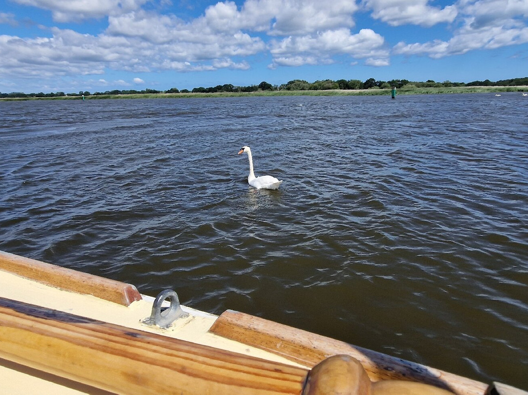 Ross' Wildlife Boat Trips-Mustard Hyrn必去景点
