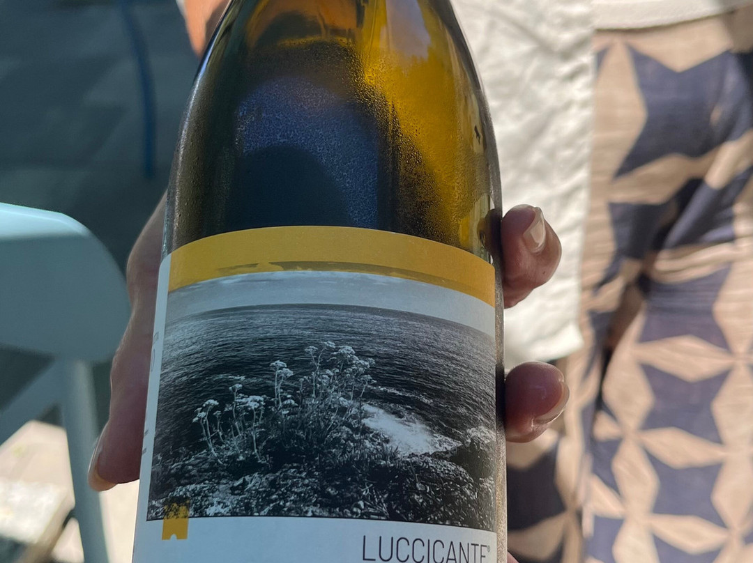 Cà Du Ferrà Wine & Tasting-Bonassola必去景点