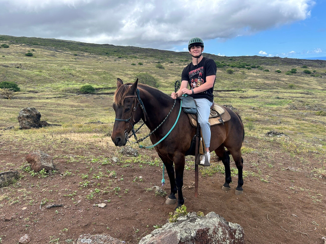 Triple L Ranch Horseback Tours-库拉必去景点