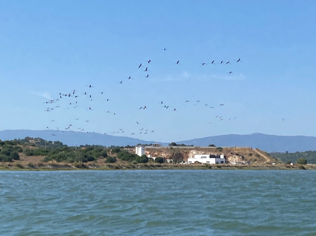 Ferragudo Boat Trips-费拉古多必去景点