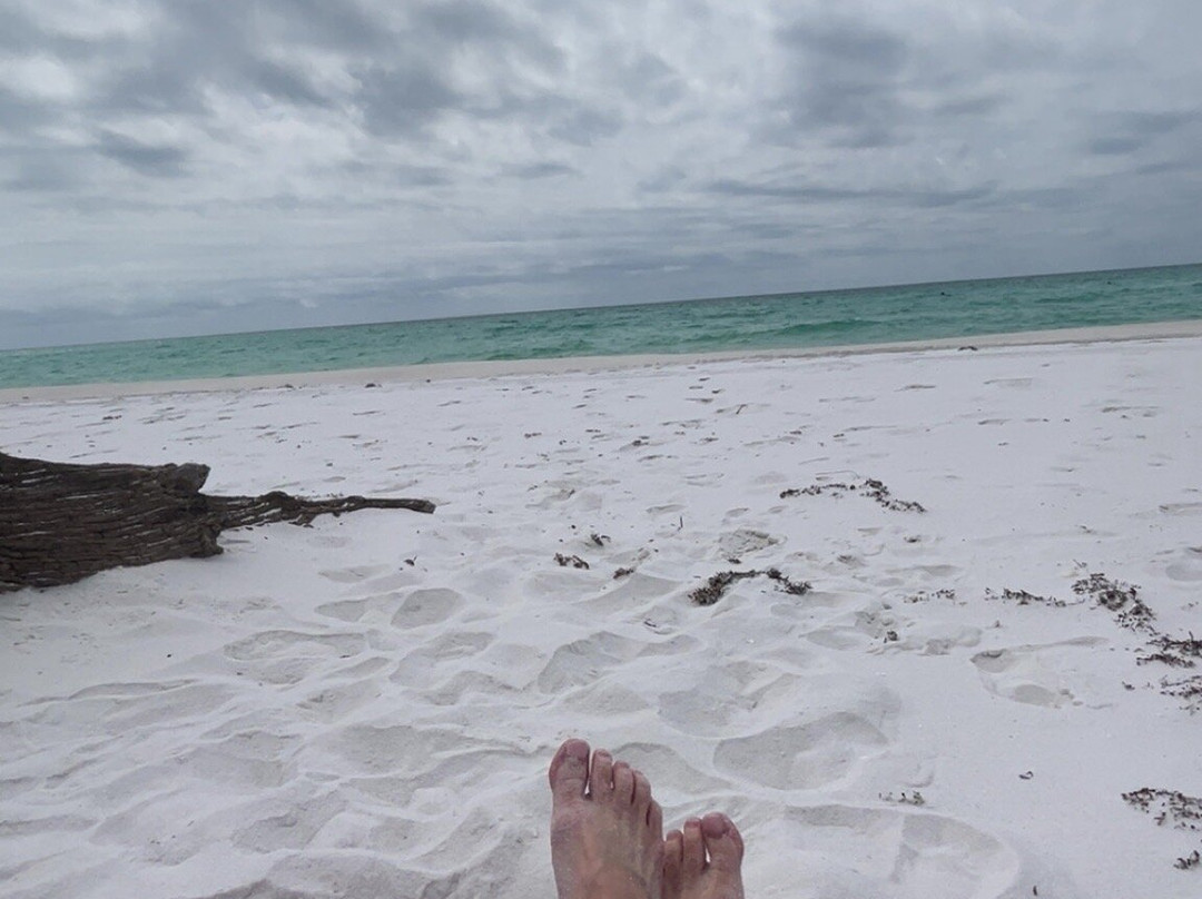 Henderson Beach State Park-德斯廷必去景点