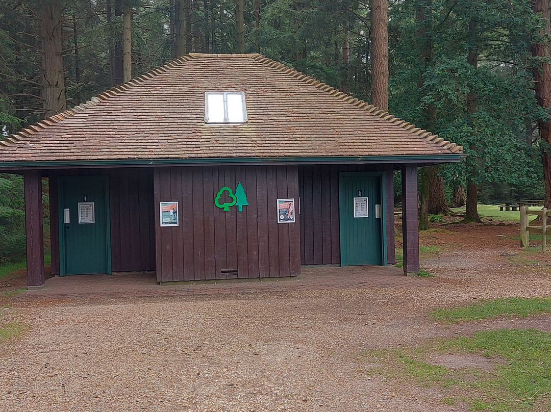 Bolderwood Deer Sanctuary-林德赫斯特必去景点