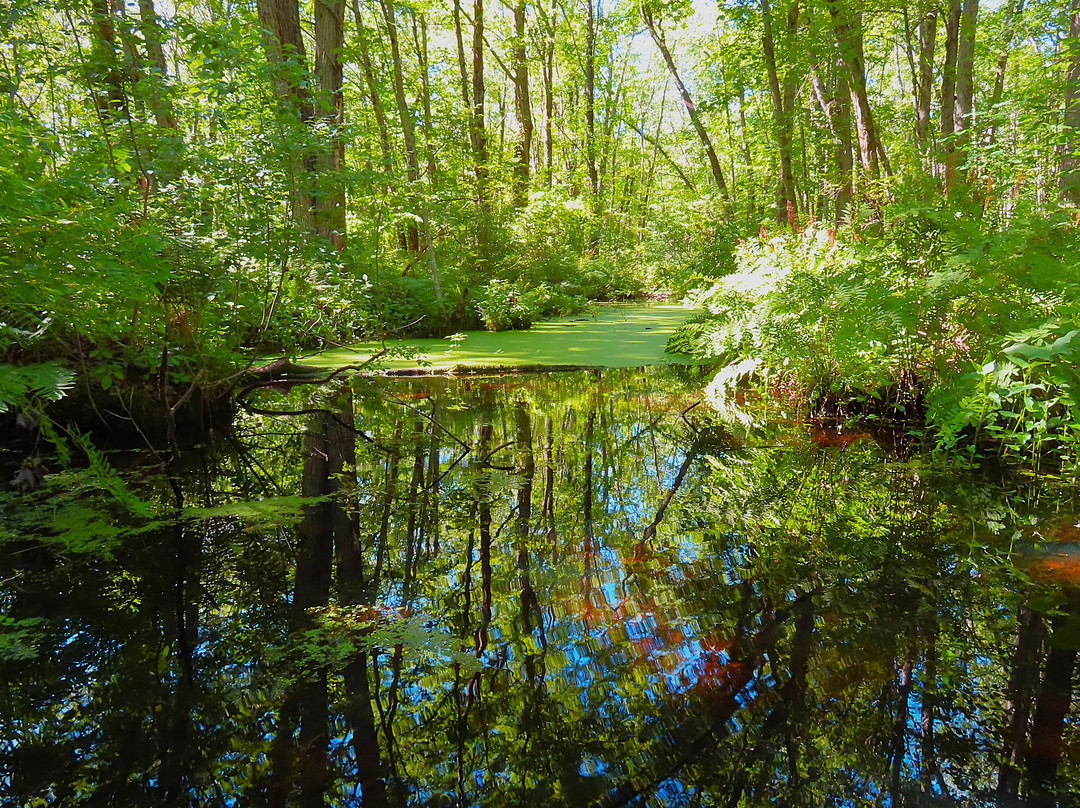 Beaver Lake Nature Center-Baldwinsville必去景点