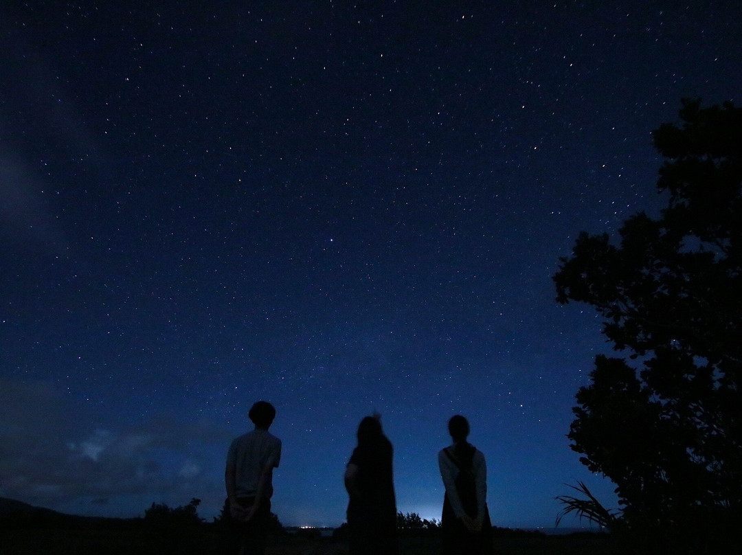 Motti Iriomote Island Trekking Eco Tour-竹富町西表岛必去景点