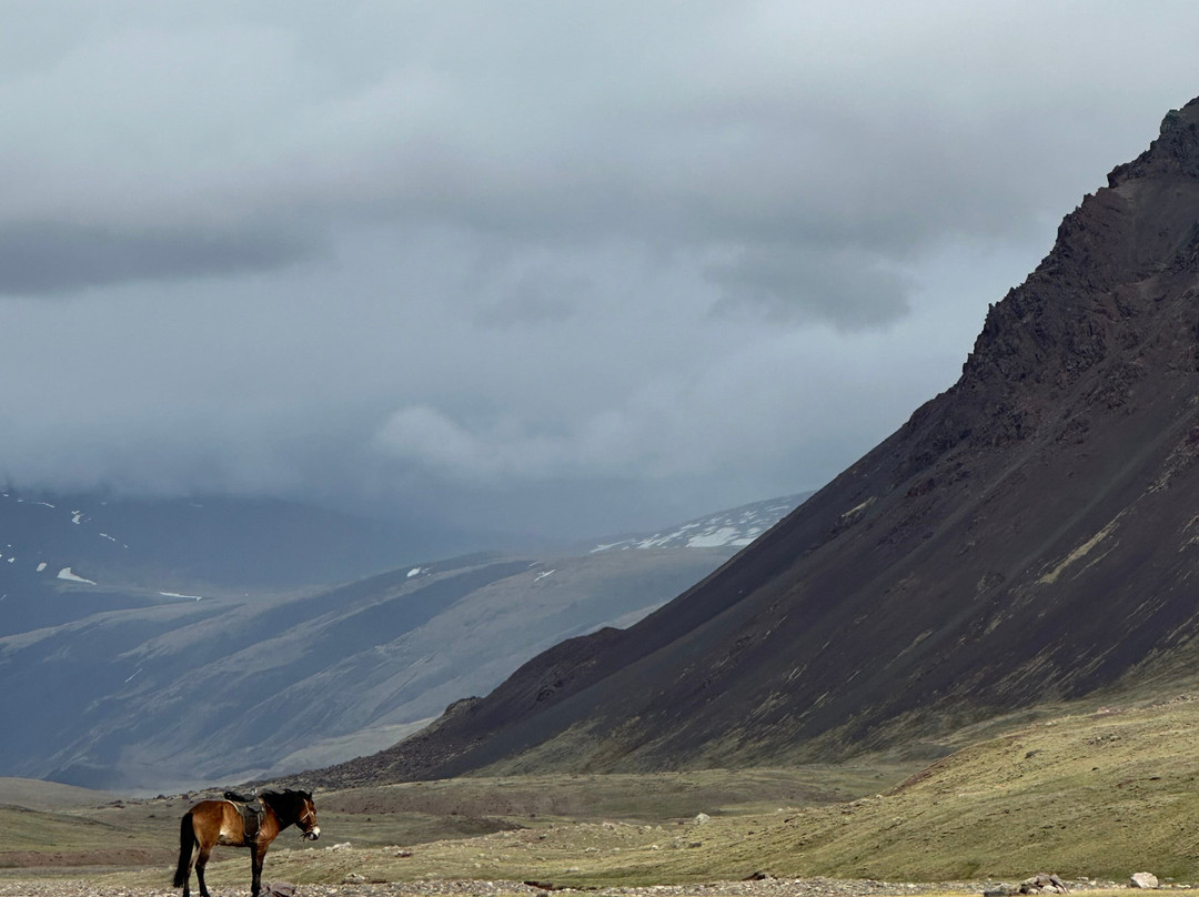 Altai Nomads Travel-Olgiy必去景点