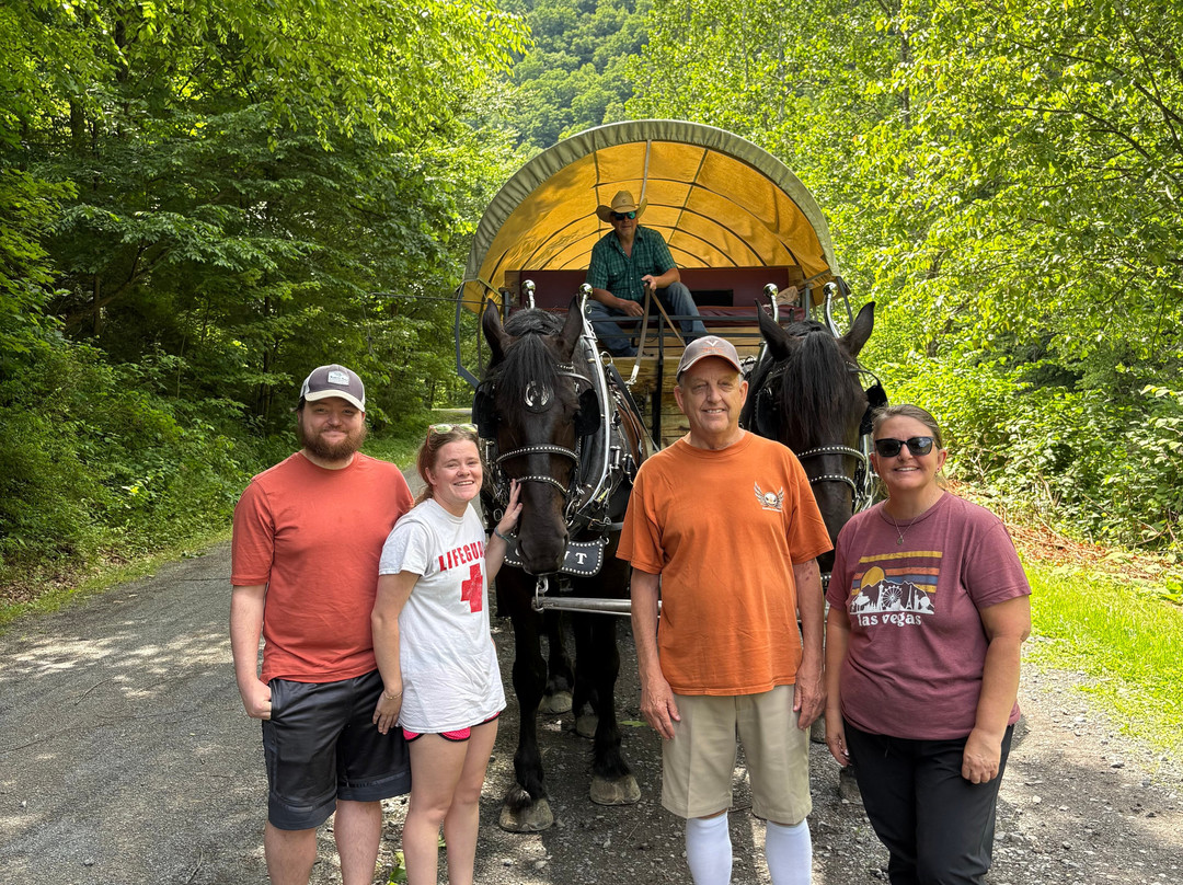 Ole Covered Wagon Tours-Wellsboro必去景点