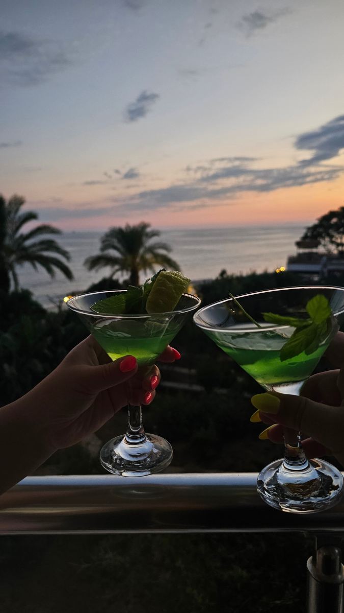 穆兹酒店-旅行者