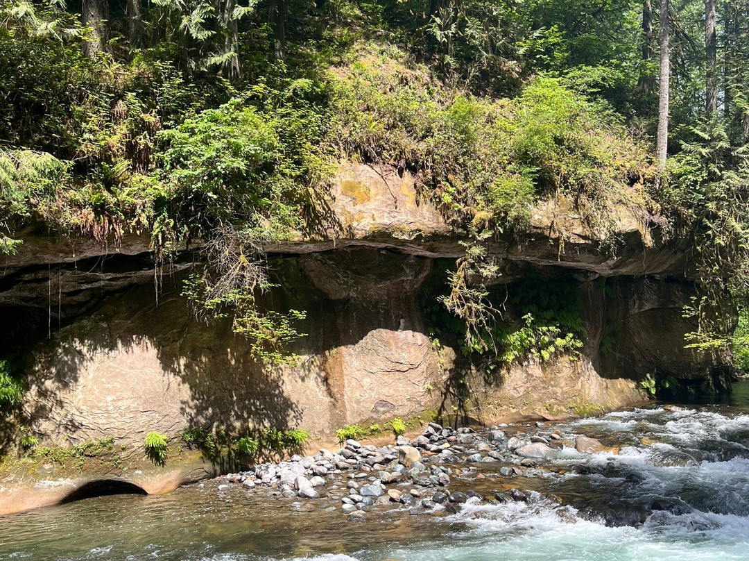 Green River Gorge Conservation Area-Enumclaw必去景点
