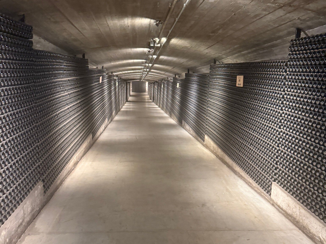 Bodega La Rioja Alta S.A.-哈罗必去景点