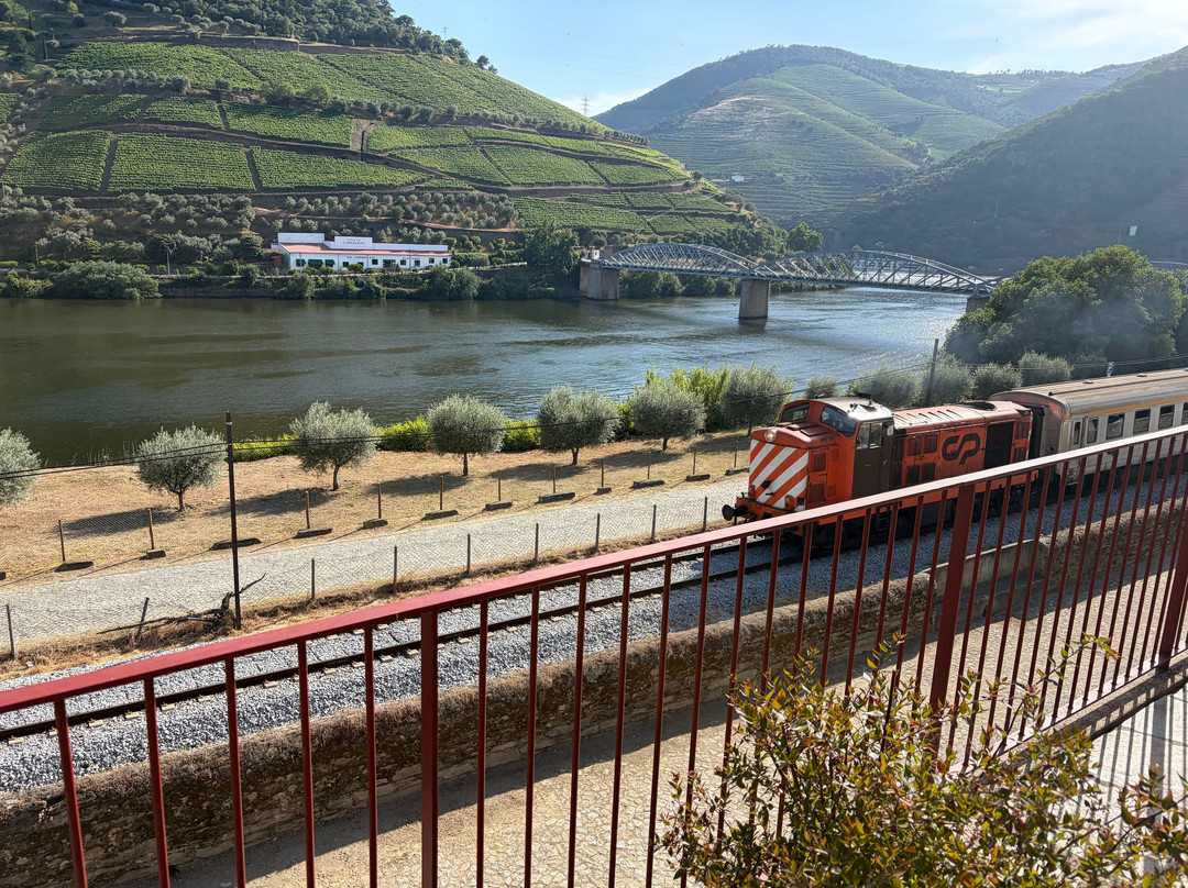 Quinta do Bomfim-Pinhao必去景点