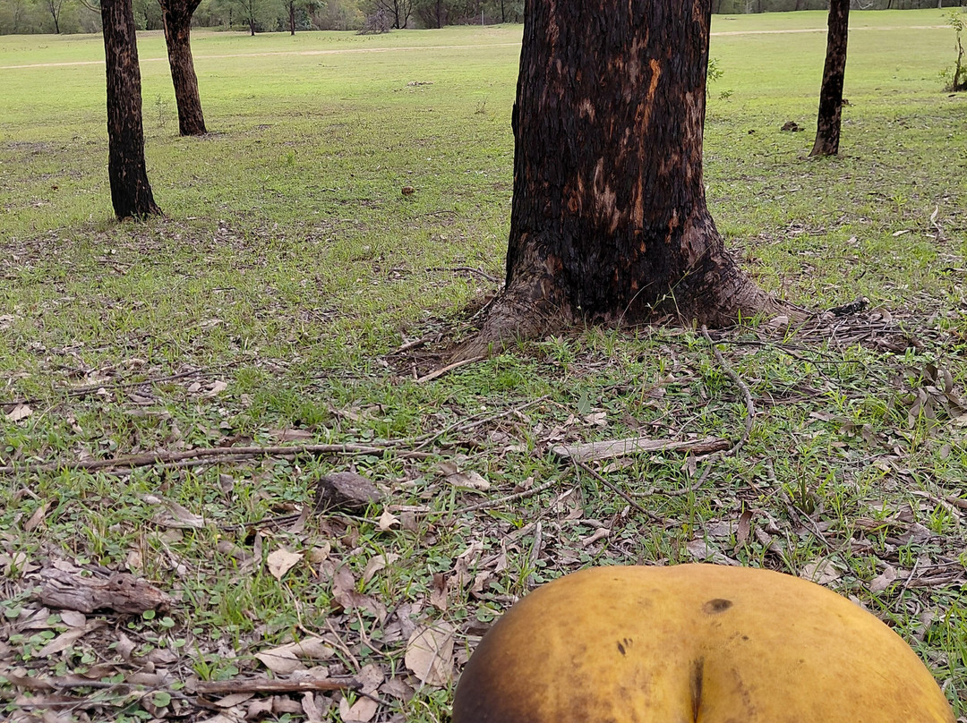 Chapman Valley Horse Riding-Howes Valley必去景点