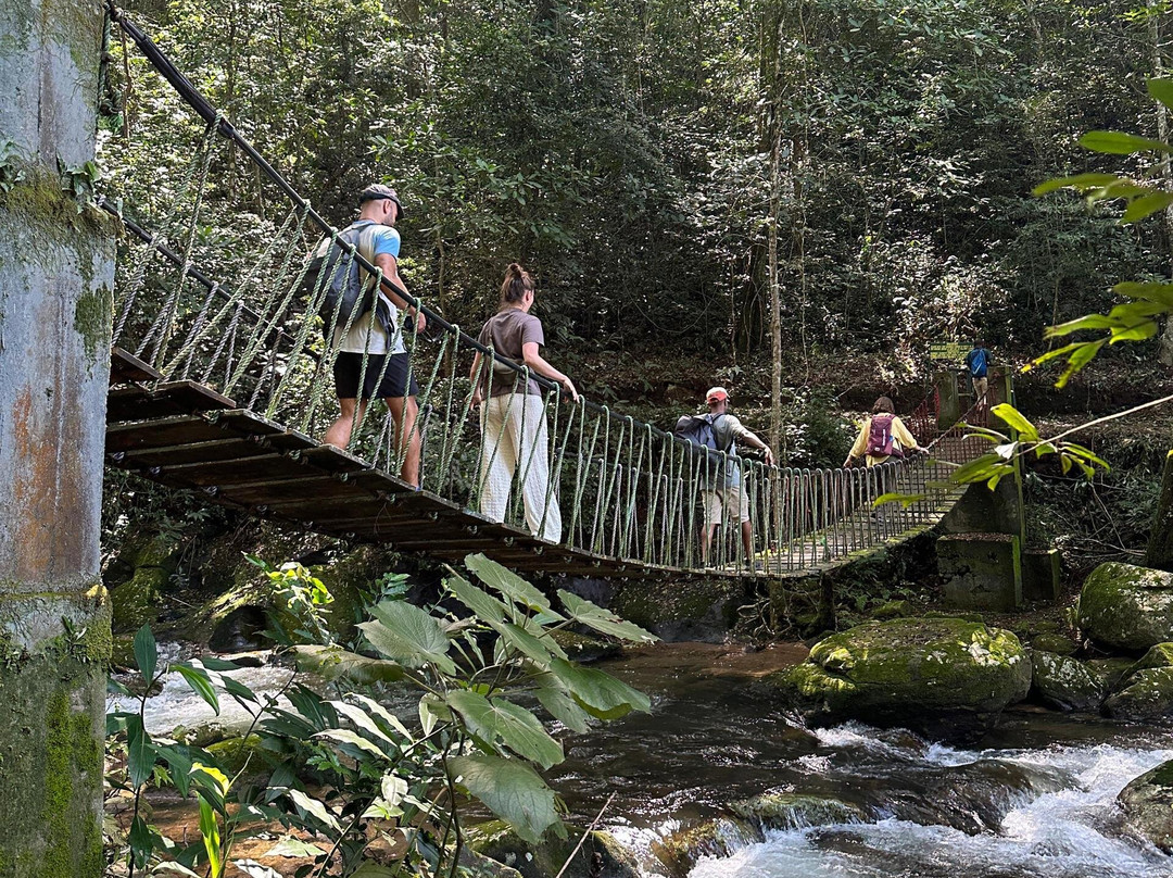 Udzungwa Mountains National Park-莫洛哥罗必去景点