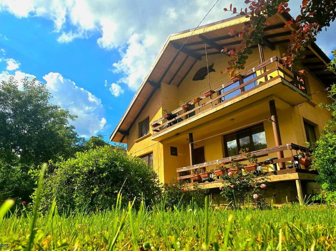Villa Ribarica
