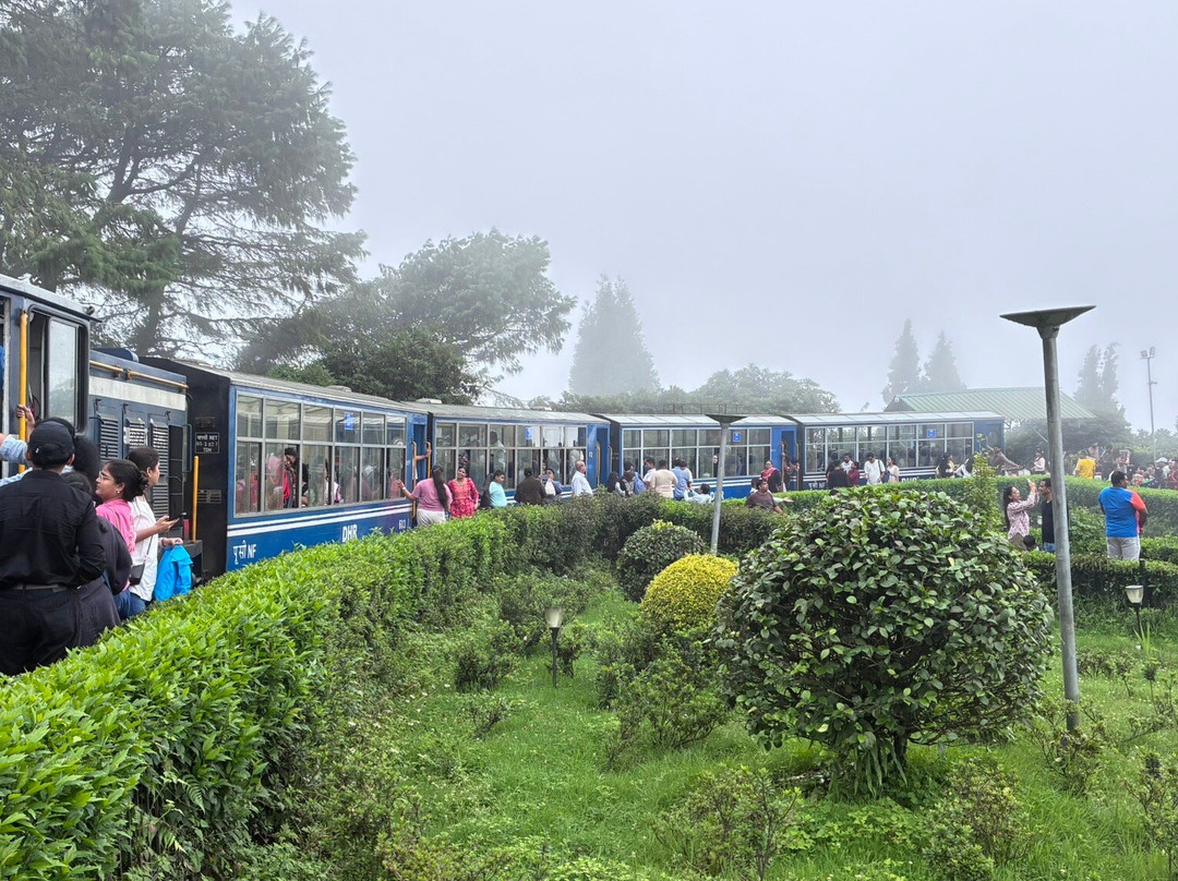 Darjeeling Toy Train Maybe Cancelled-大吉岭必去景点