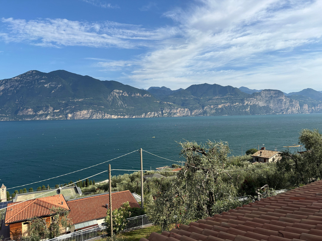 Agriturismo Uliveta