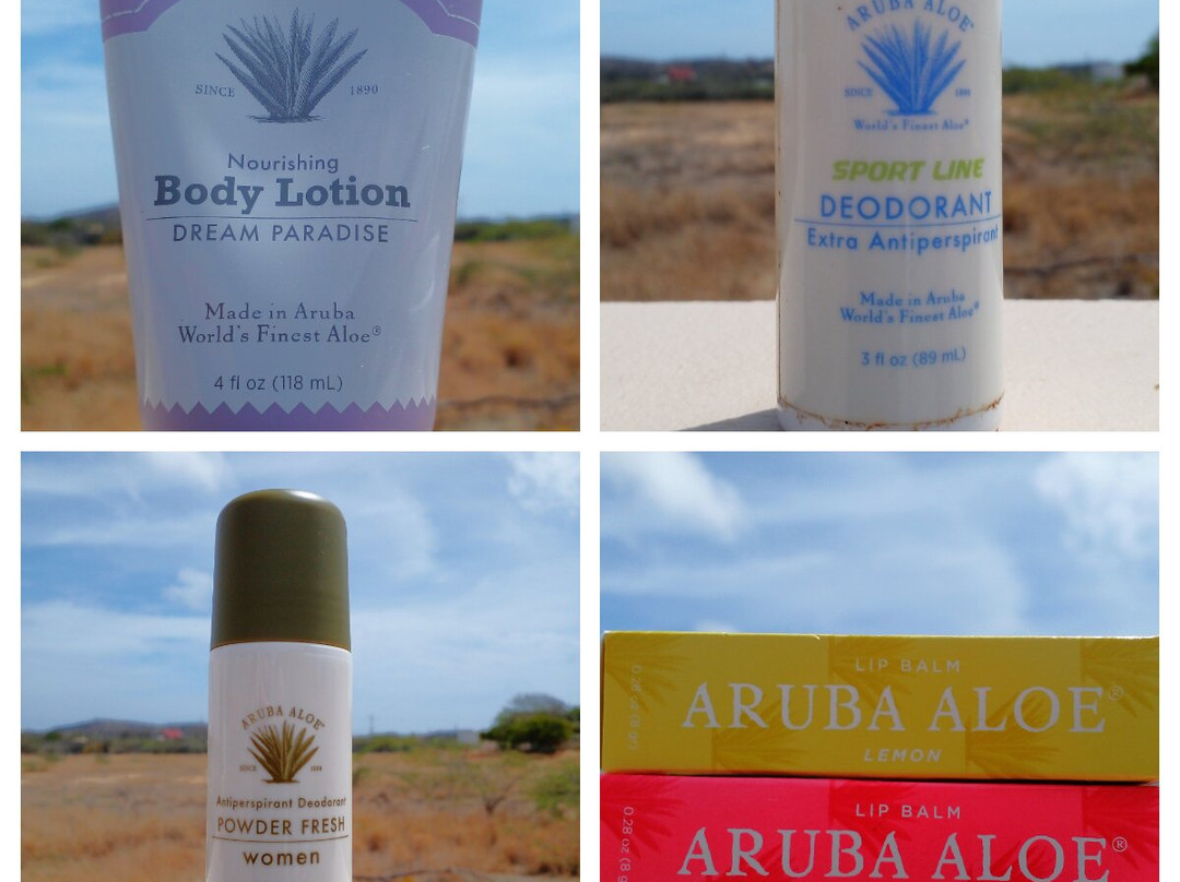 Aruba Aloe Factory, Museum and Store-阿鲁巴岛必去景点