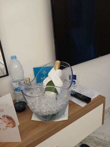 蓝色常春藤套房酒店-旅行者