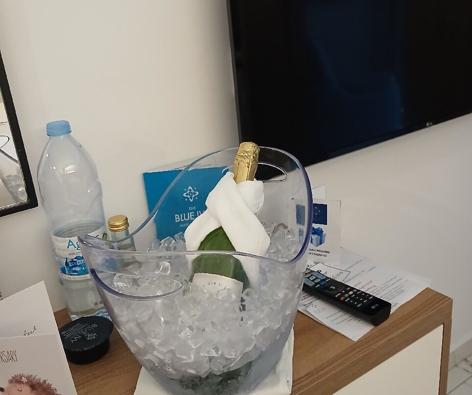 蓝色常春藤套房酒店主图