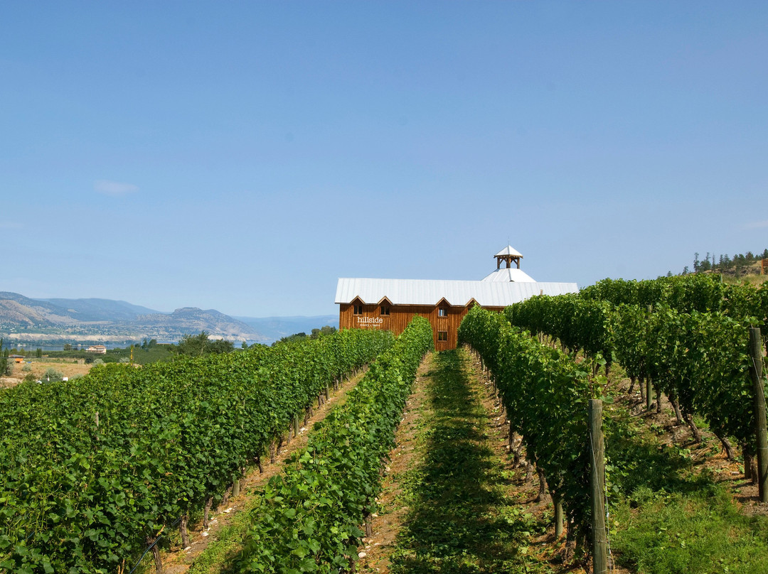 Hillside Winery-彭蒂克顿必去景点