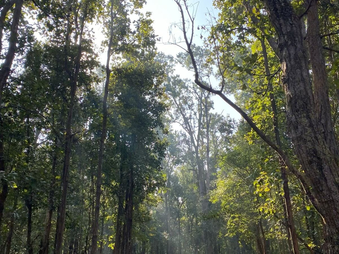 Chitwan National Park-苏拉哈必去景点
