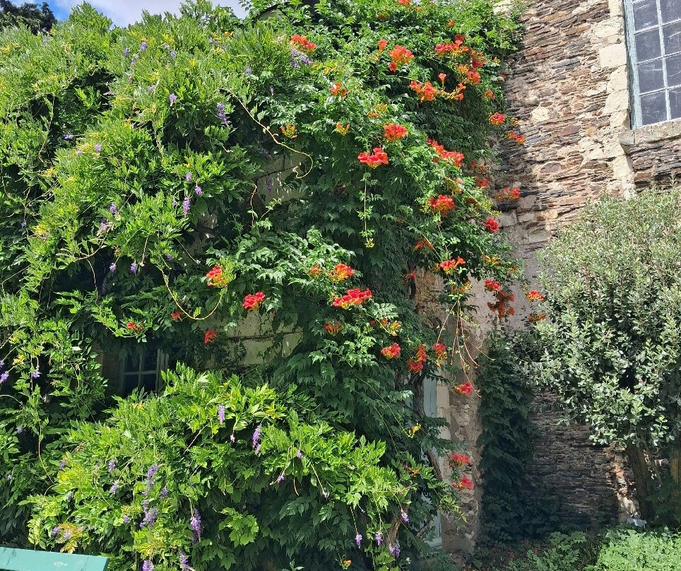 Jardin des Plantes-昂热必去景点