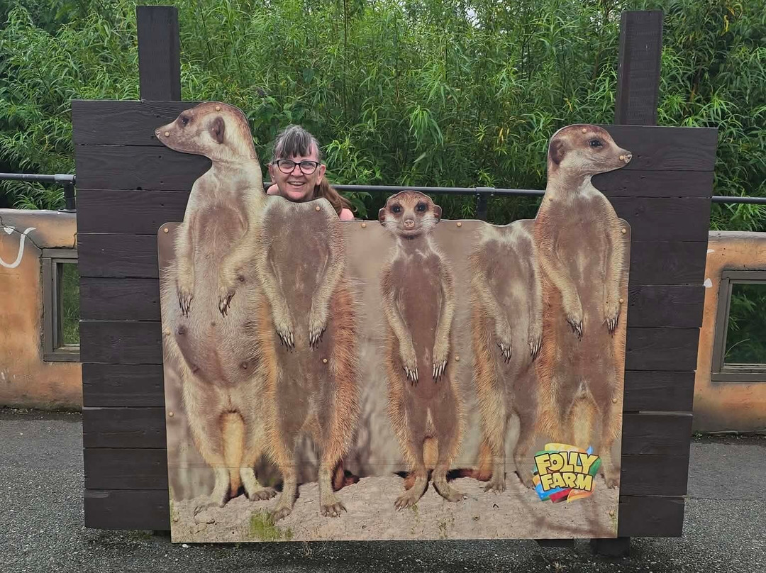 Folly Farm-Begelly必去景点