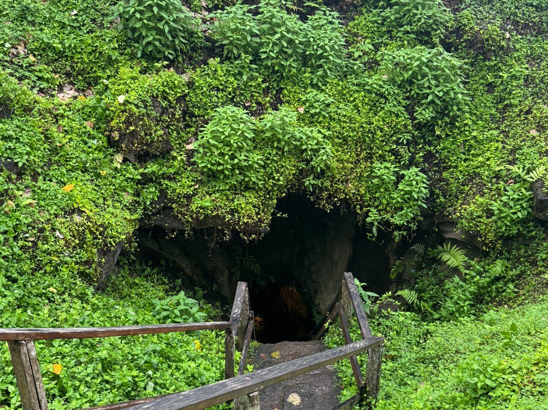 Lava Tunnel-圣克鲁斯必去景点