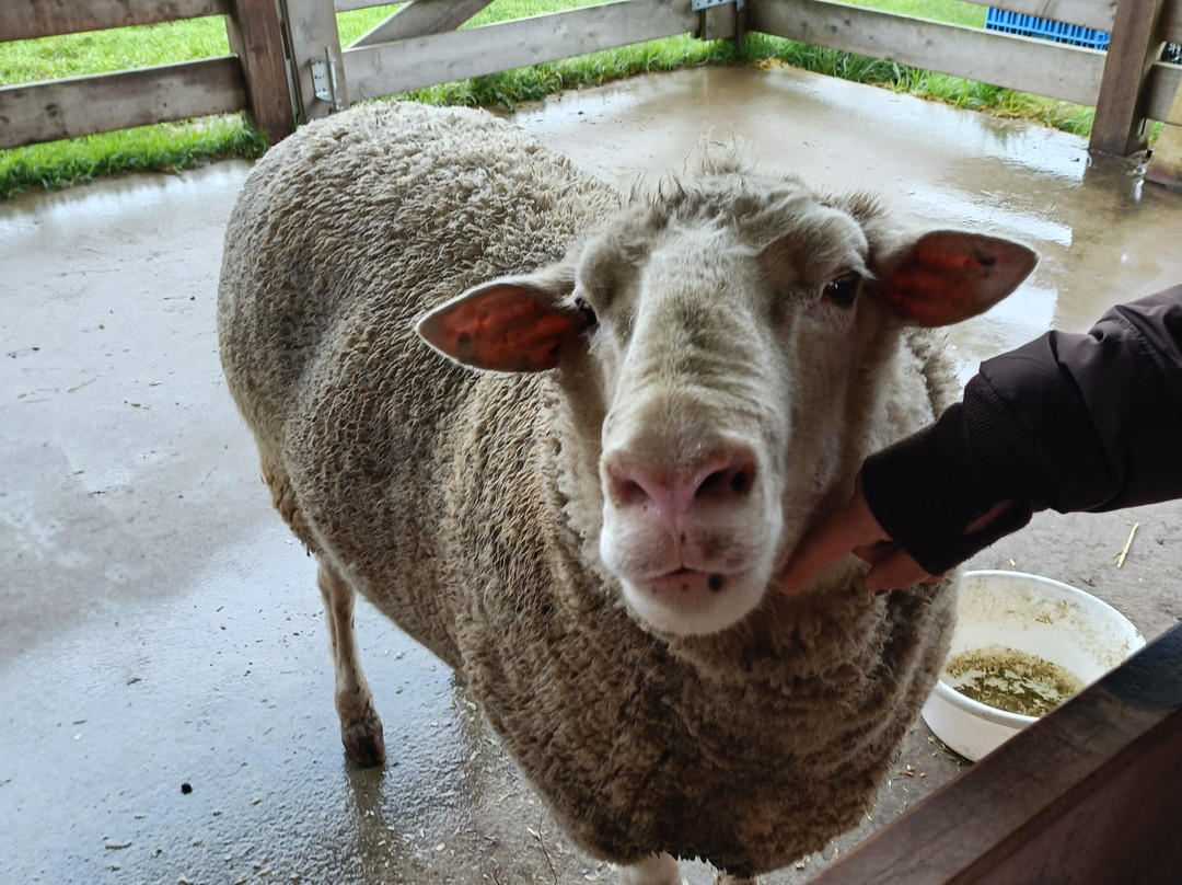 Creswick Woollen Mills-Creswick必去景点