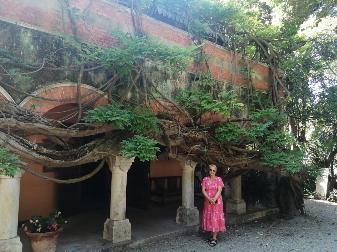 Museo Bicknell-博尔迪盖拉必去景点