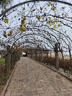 Casa Valduga Winery-本图贡萨尔维斯必去景点