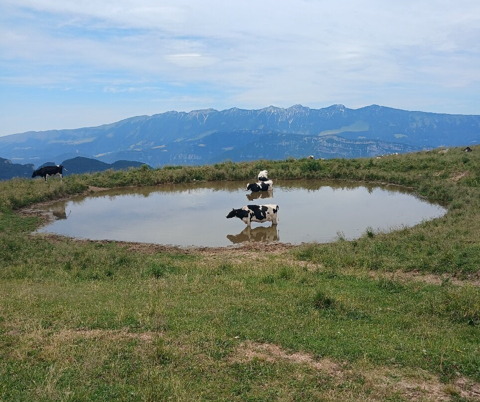 Parco Naturale Regionale della Lessinia-Bosco Chiesanuova必去景点