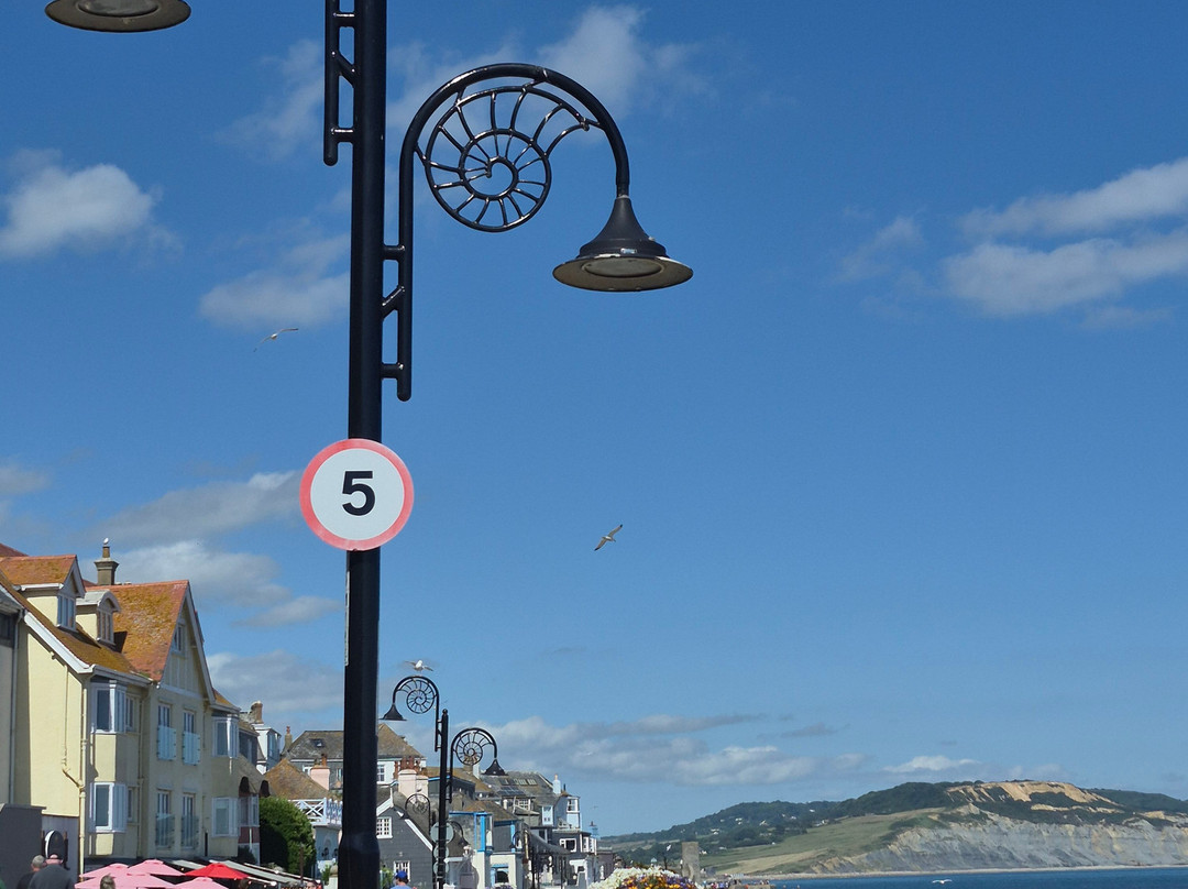 Lyme Regis Beach-莱姆里杰斯必去景点