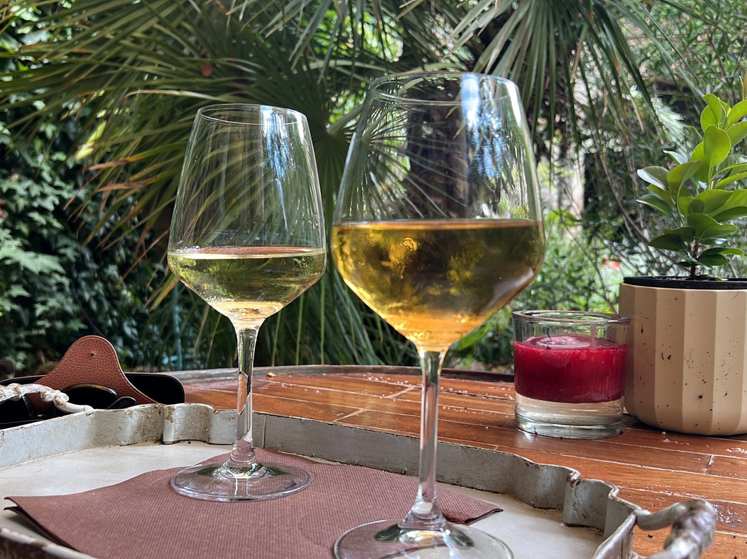 安迪卡洛坎达鲁内塔酒店主图