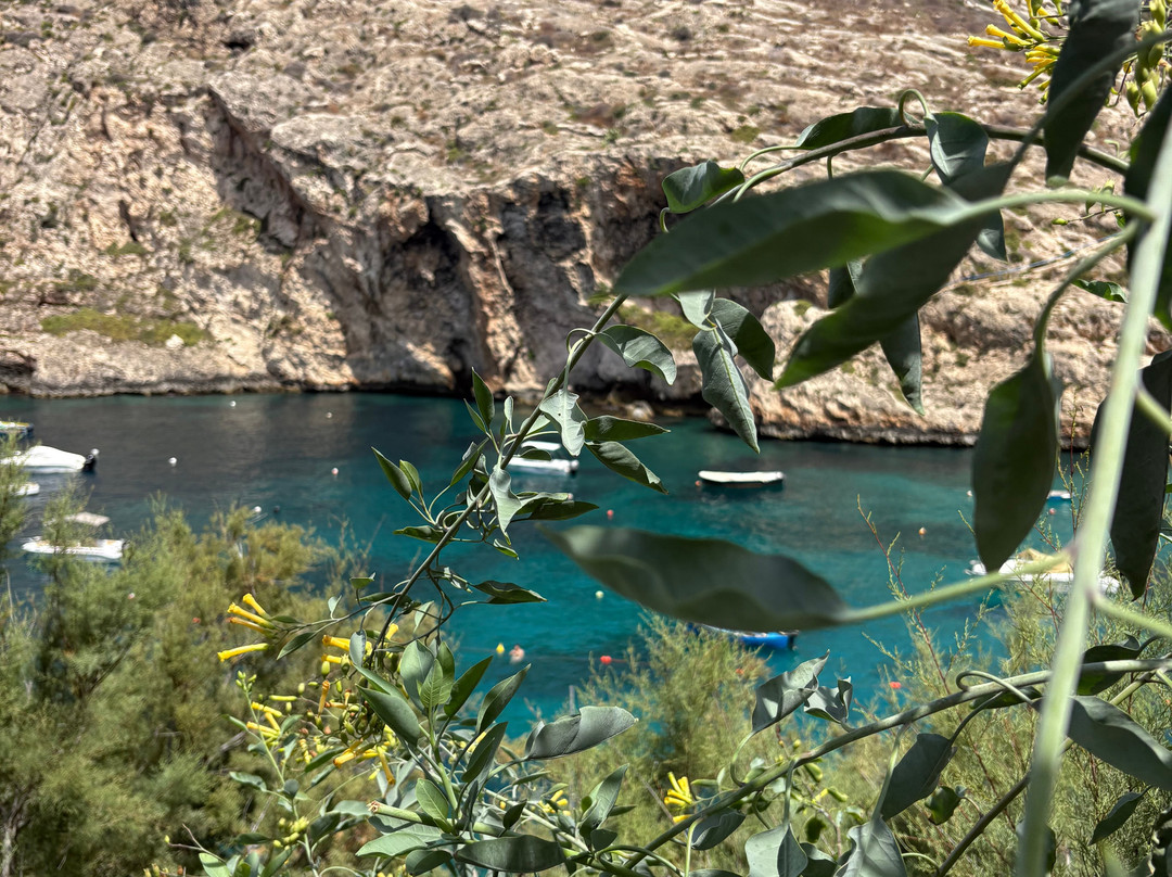 Xlendi Beach, Cliff and Caves-Xlendi必去景点