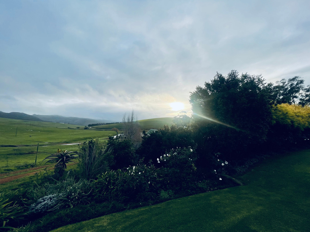 Rouxwil Country House主图