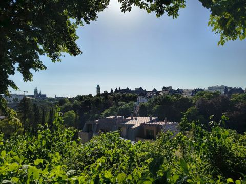 卢森堡高瑞斯集团-旅行者
