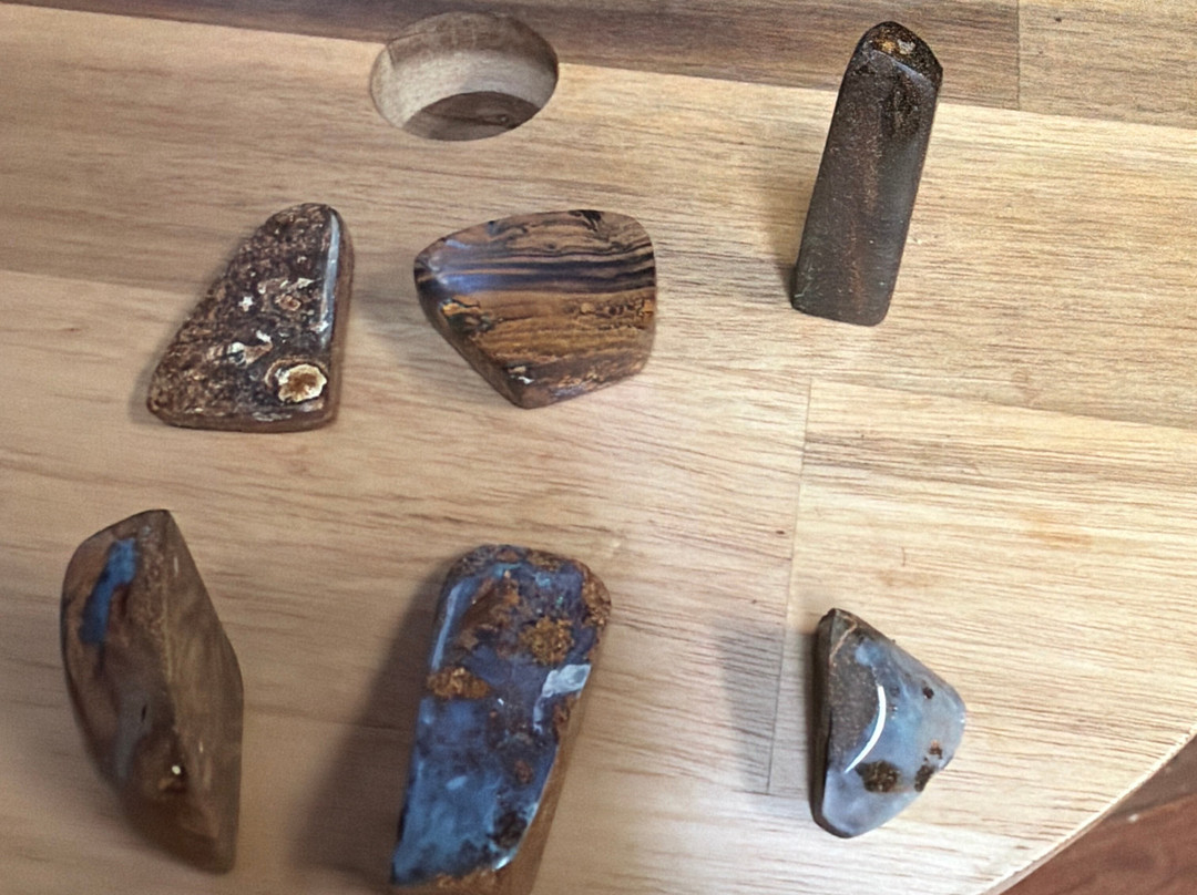Opal Museum-布里斯班必去景点