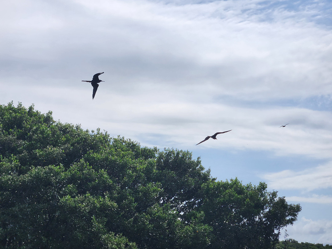 Homosassa Springs Marina-Homosassa必去景点