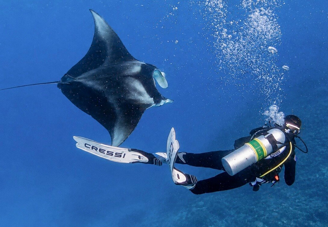 Dharavandhoo Divers-Dharavandhoo必去景点