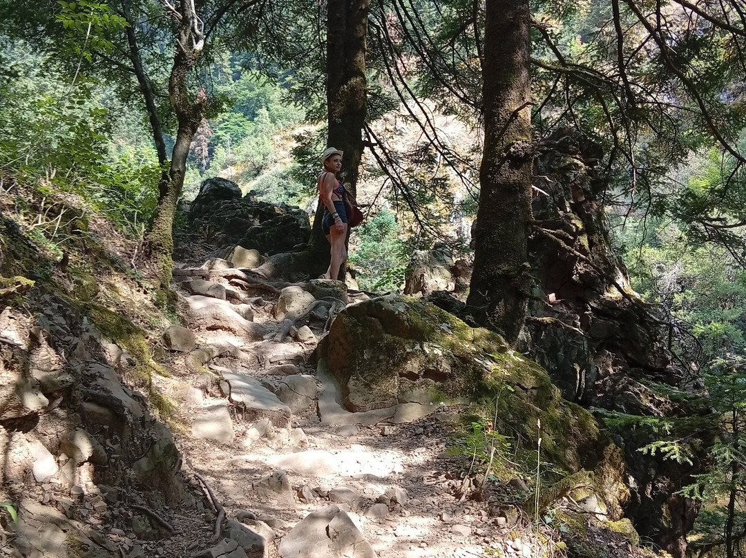 Hidden Garden with Waterfalls-Megalo Chorio必去景点