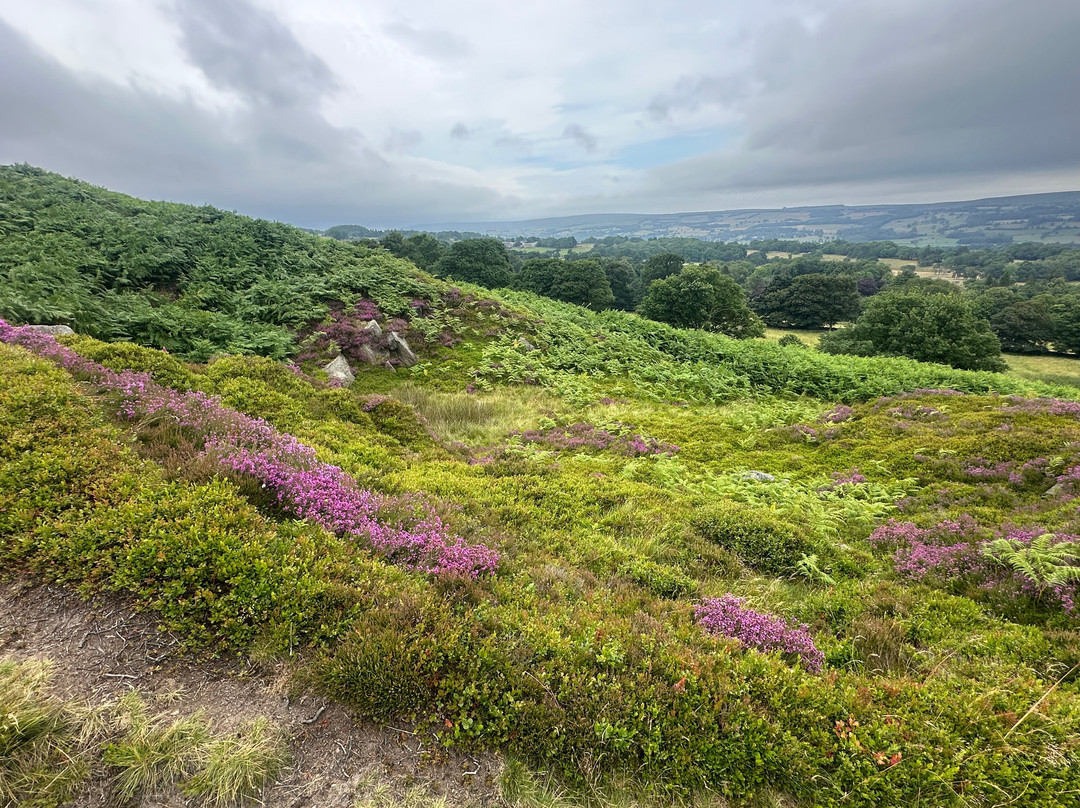 Ilkley Moor-伊尔克利必去景点