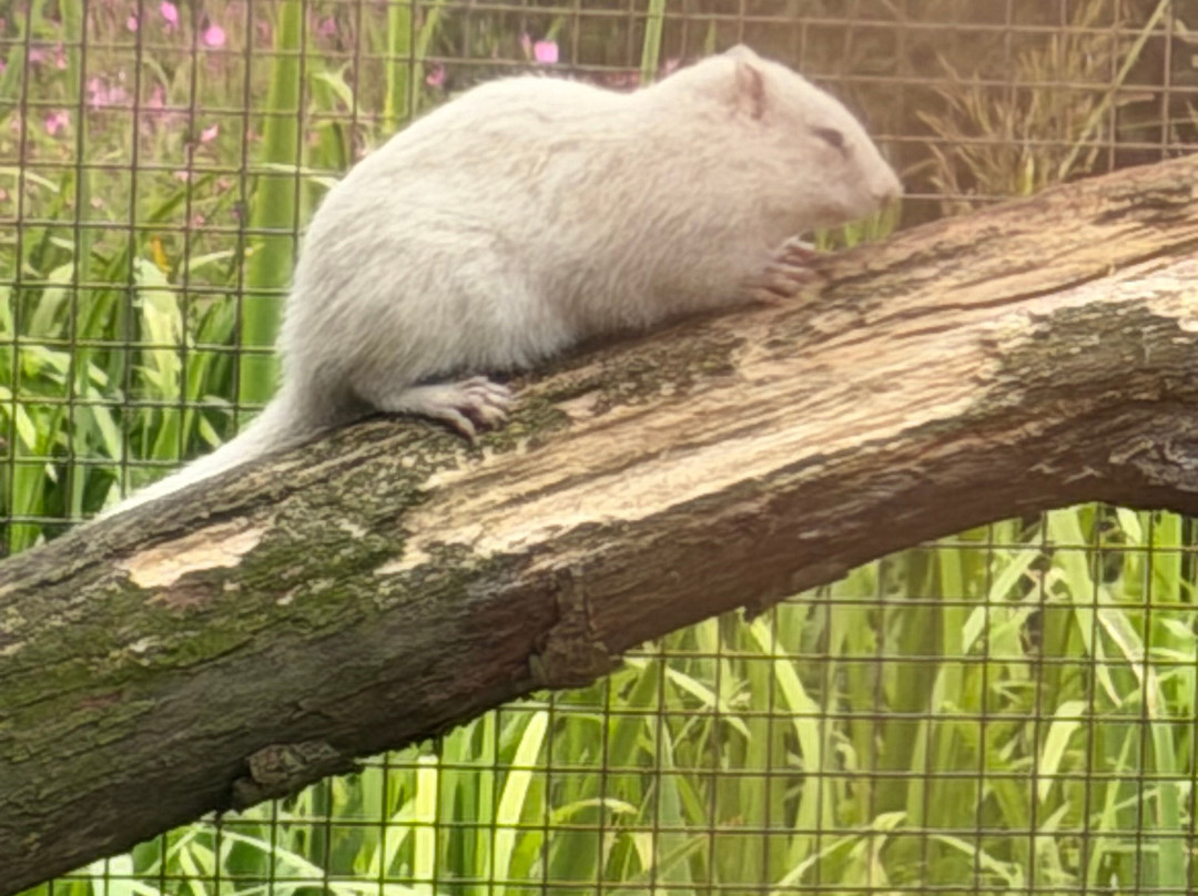 Filey Zoo-Filey必去景点