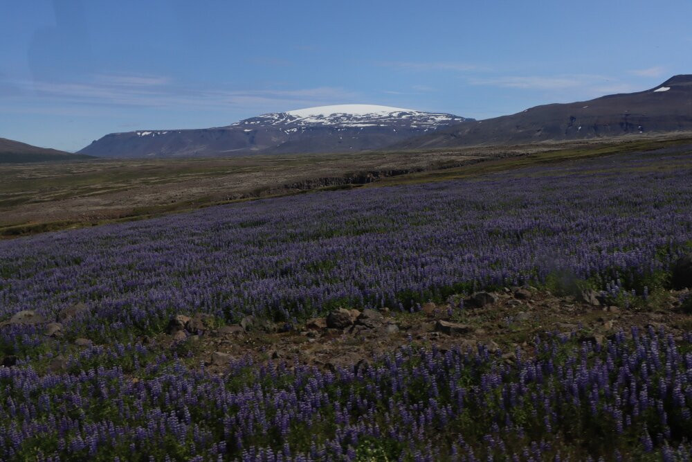 Langjokull Glacier-南部地区必去景点